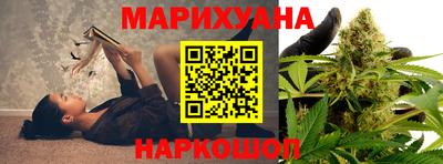 бошки Кингисепп