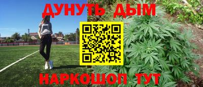 бошки Кингисепп