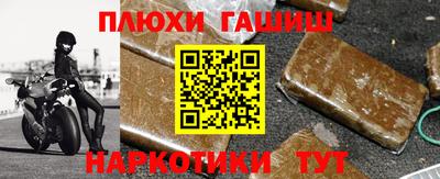 бошки Кингисепп